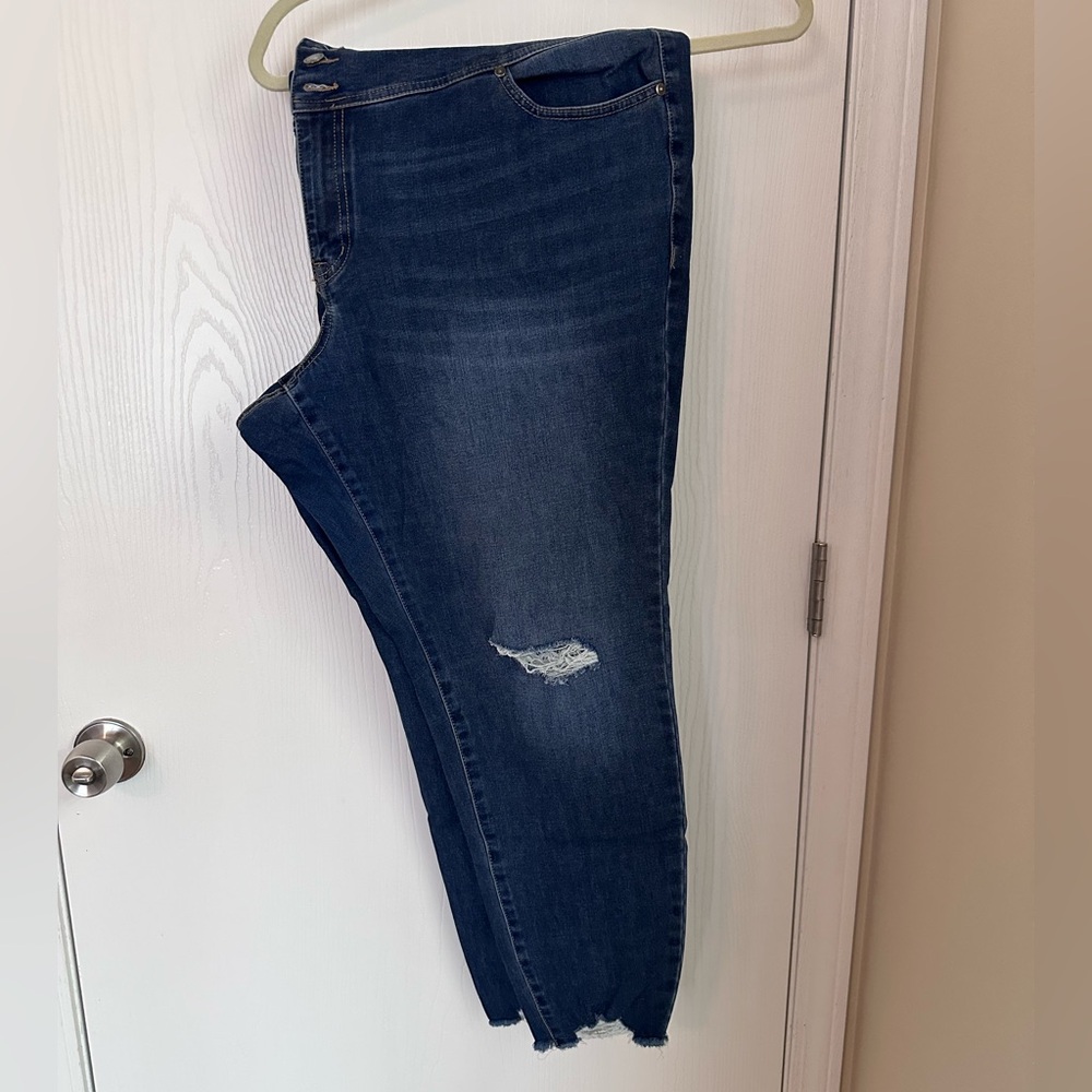 High-Rise Jegging Lane Bryant jeans